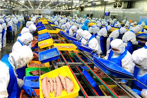 荣成渔业多牛 水产品产量 总收入连续38年稳居全国县级渔业首位