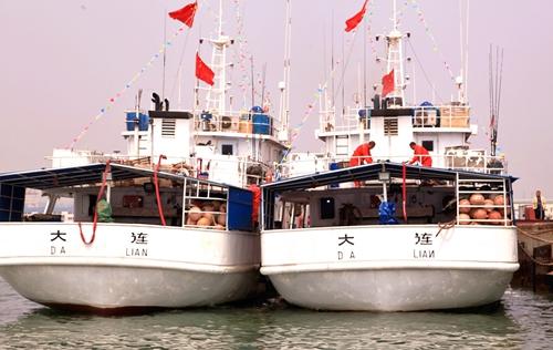 四船齐发大连金广渔业开启远洋捕捞金枪鱼之旅