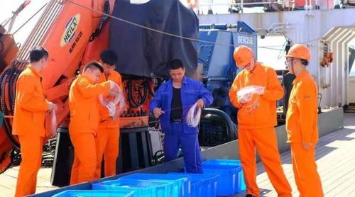 蓝色答卷 5年内走出了近500名远洋渔业人才