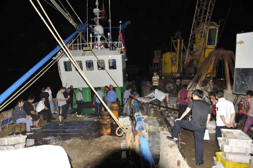 非法捕捞17吨梭子蟹,5人被刑事拘留